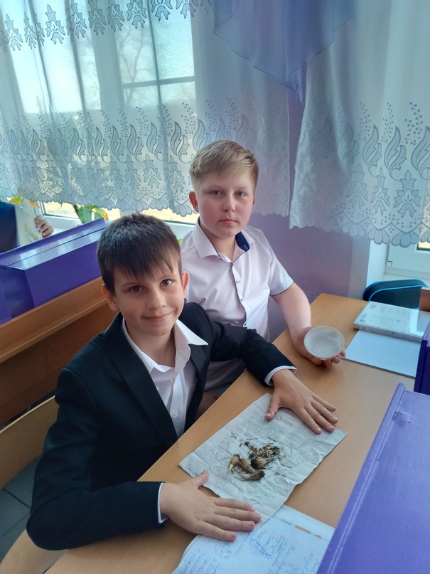 Биология в &amp;quot;Точке Роста&amp;quot;.