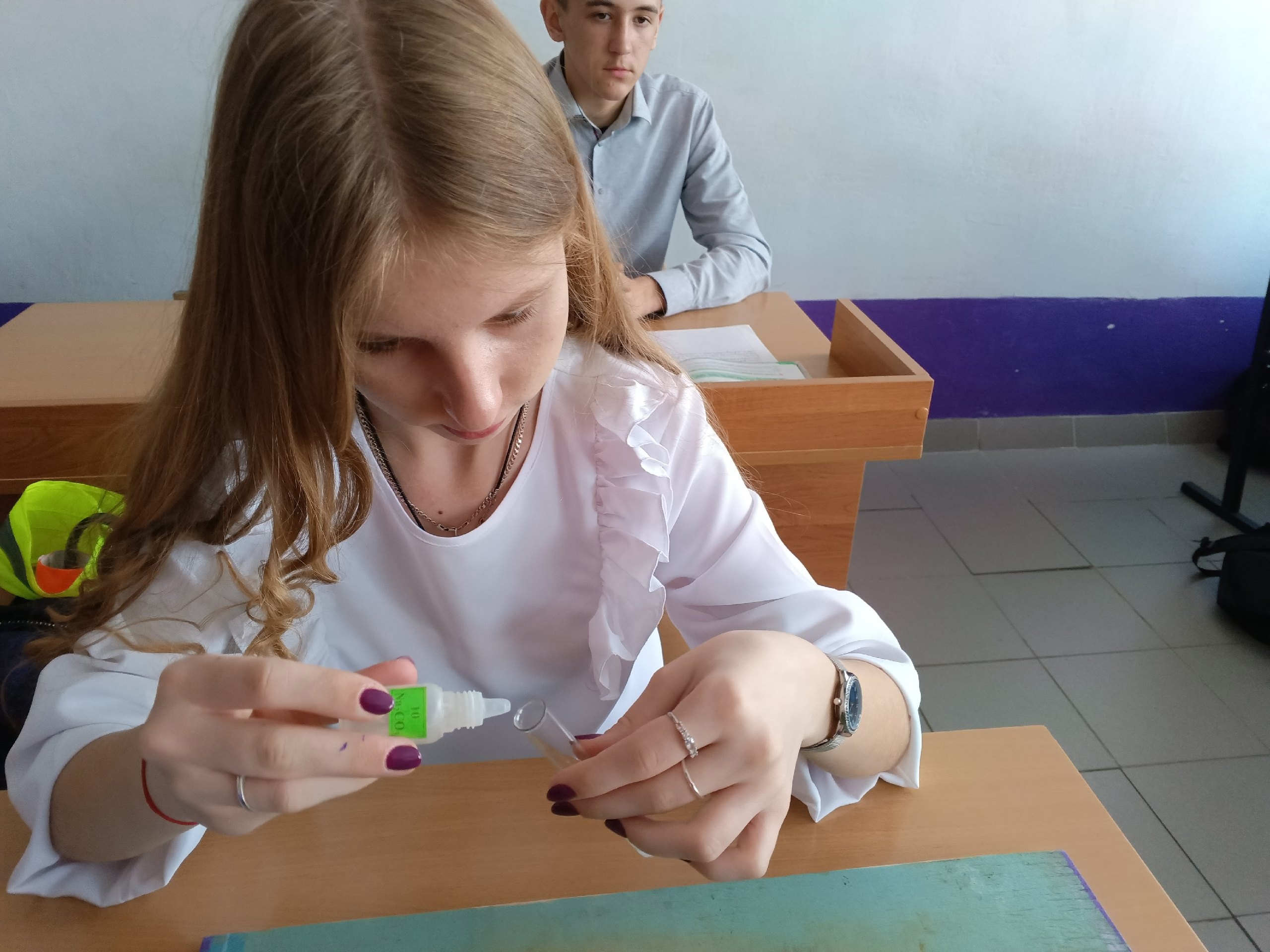 Практика на уроках биологии в 9 классе.