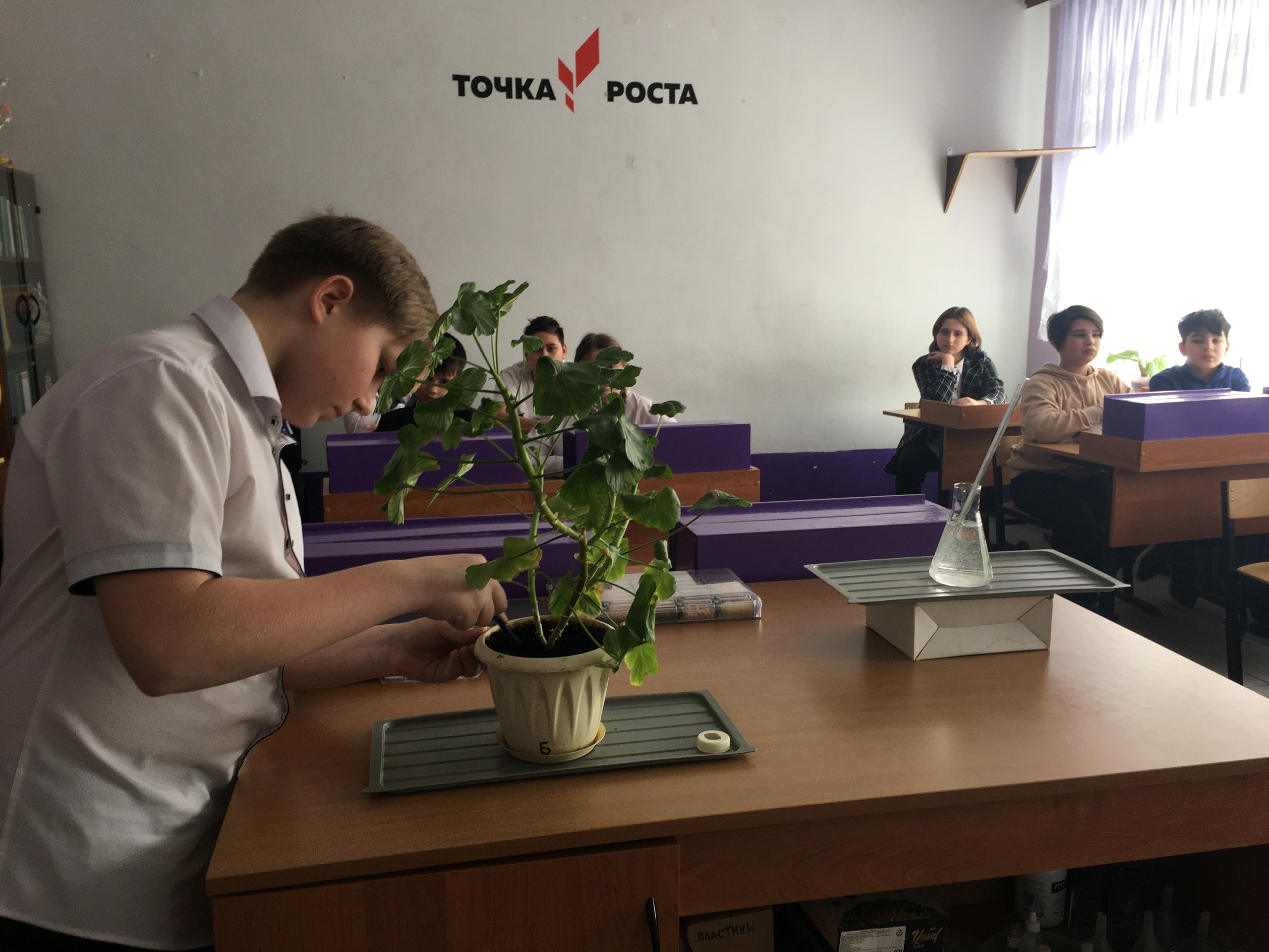 Урок биологии в &amp;quot;Точке Роста&amp;quot;.