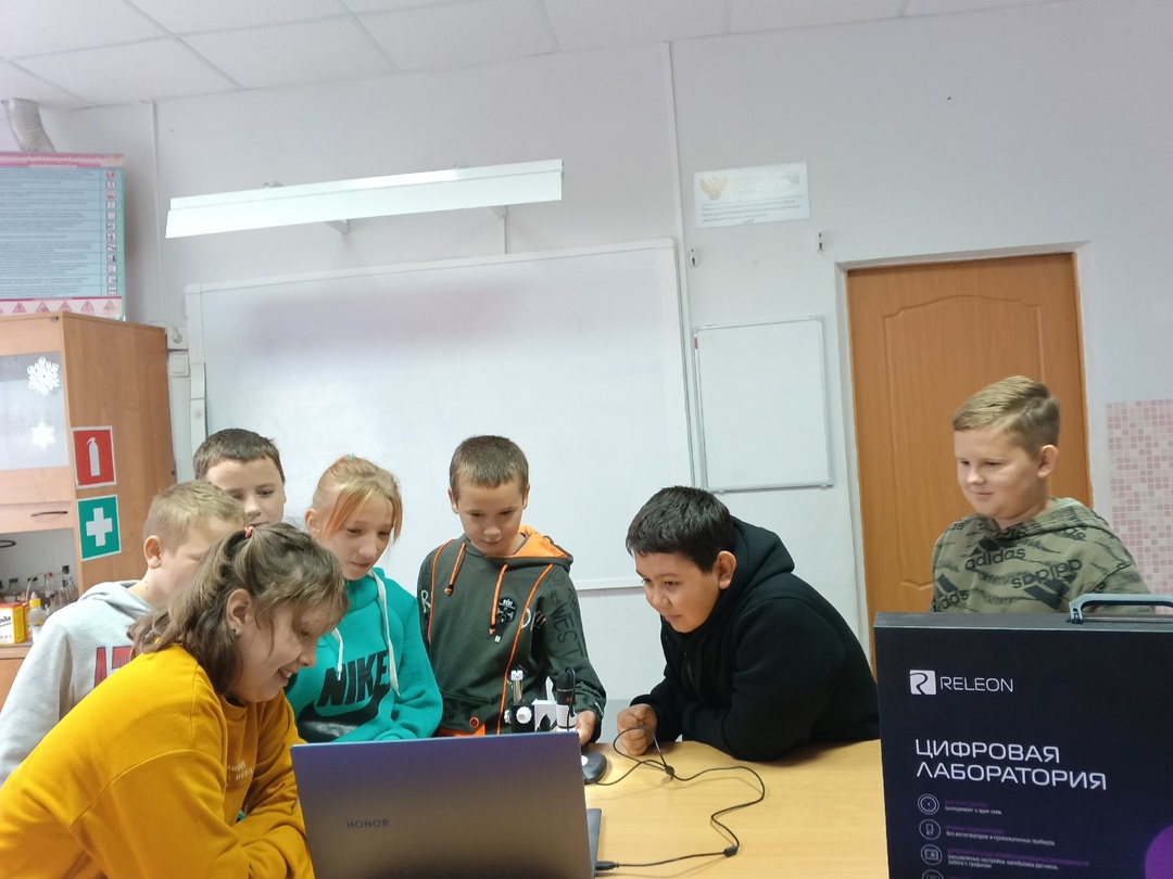 Биология в 5 классе.