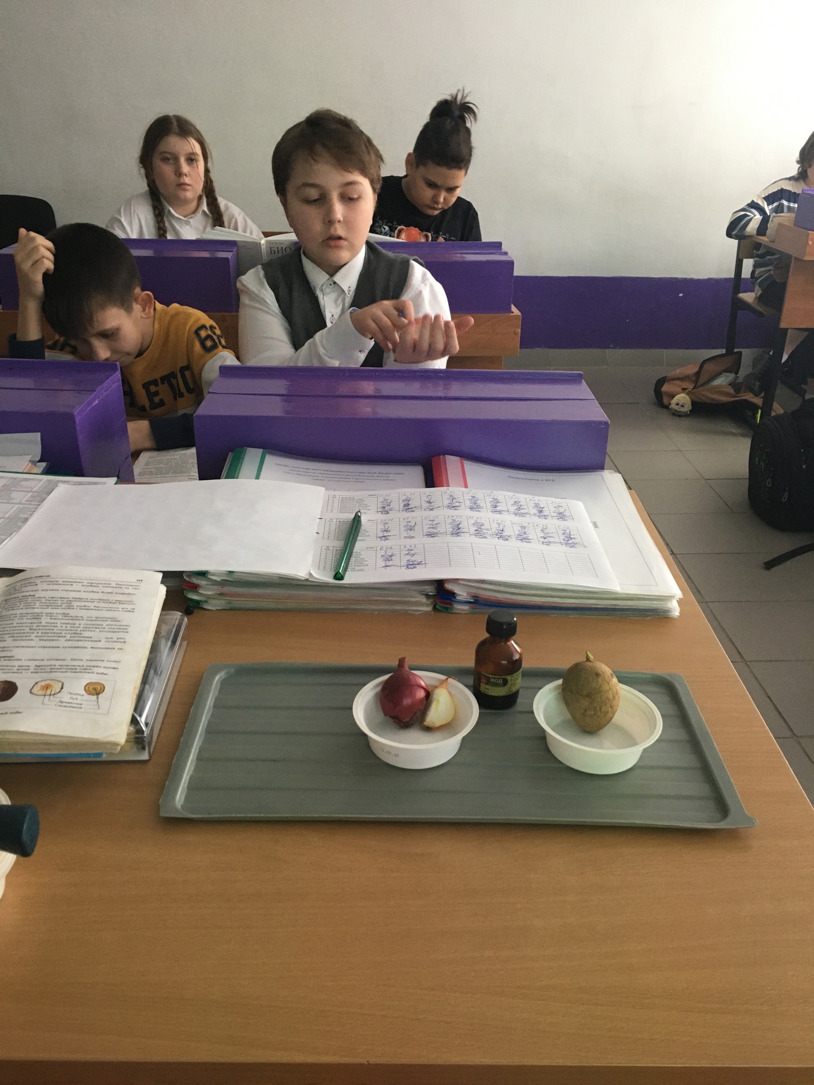 Лабораторная работа в 6 классе.